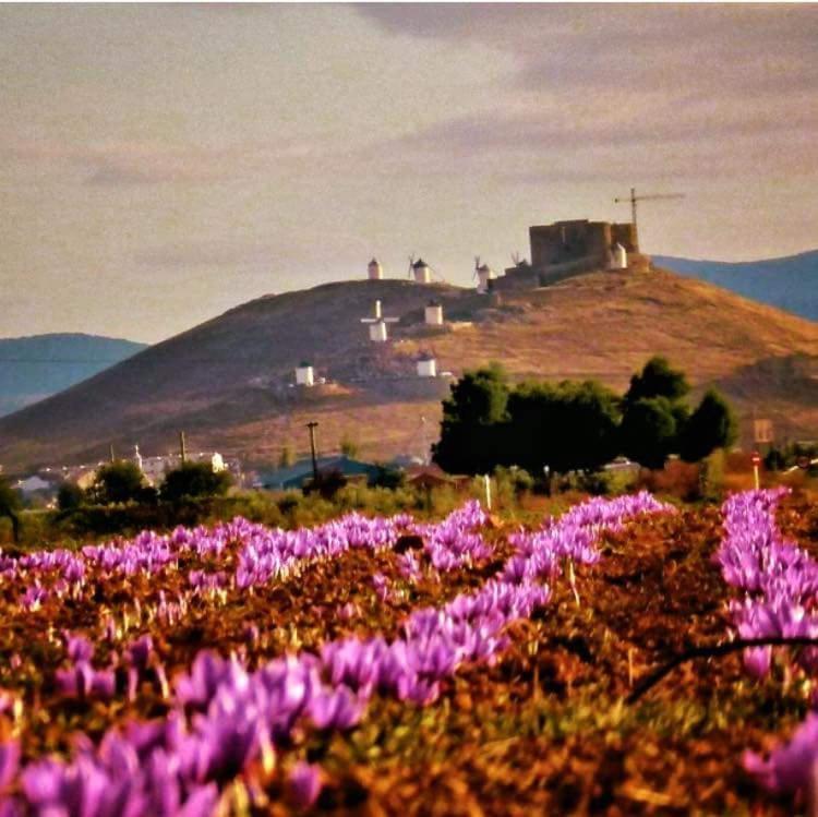 Posada De Los Consules Consuegra Ngoại thất bức ảnh