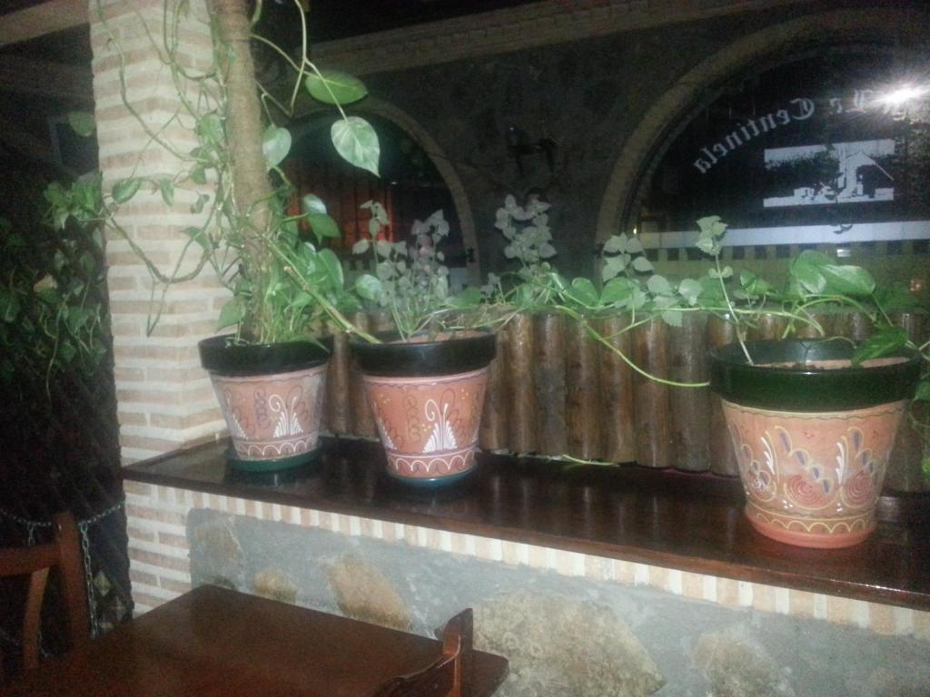 Posada De Los Consules Consuegra Ngoại thất bức ảnh